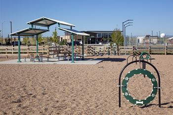 Dog park with pet spa, dog wash and grooming area